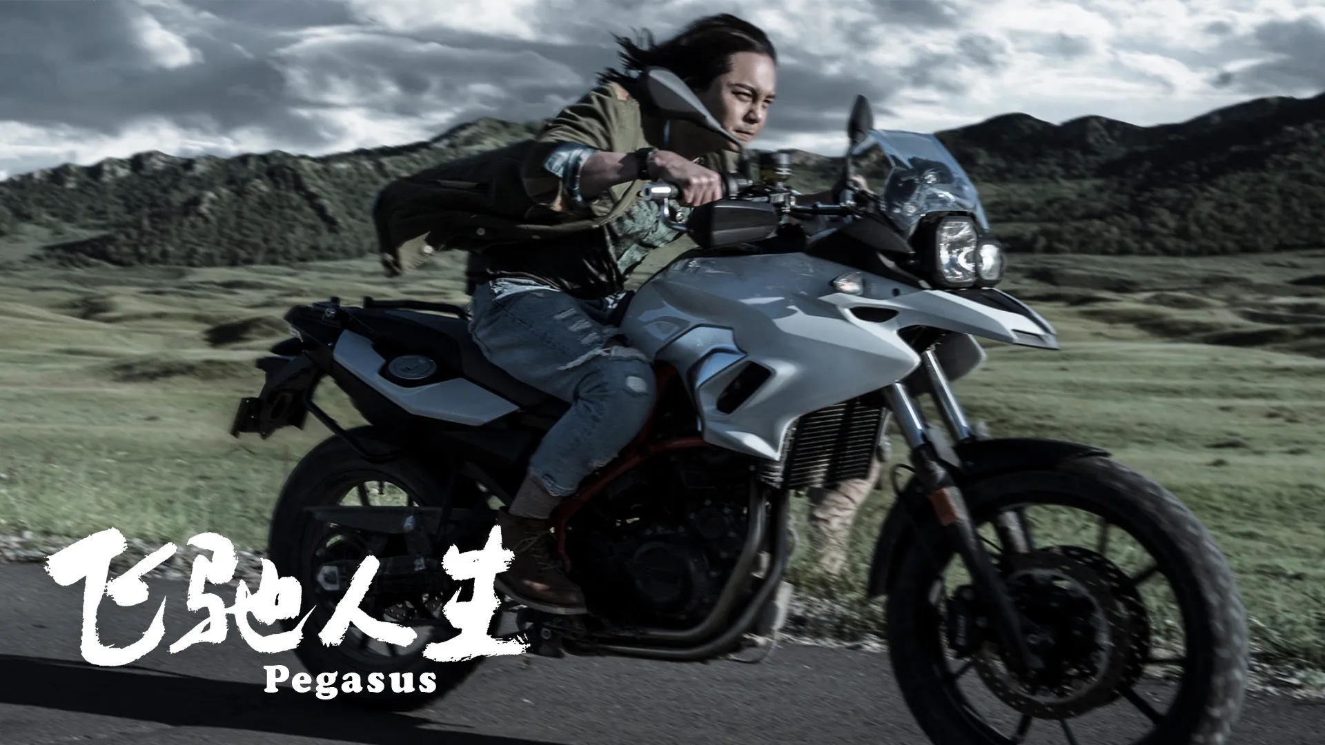 Pegasus