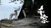 Paws Land