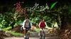 Secrets Happened on the Litchi Island