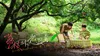 Secrets Happened on the Litchi Island